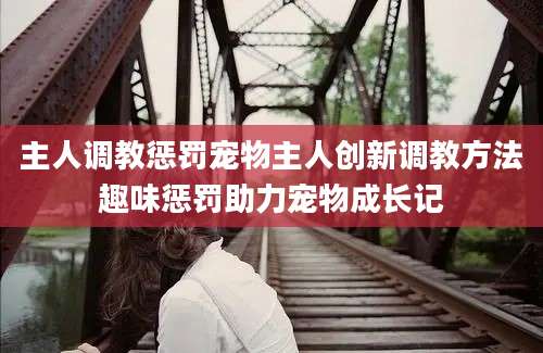 主人调教惩罚宠物主人创新调教方法趣味惩罚助力宠物成长记