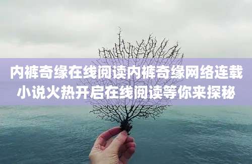 内裤奇缘在线阅读内裤奇缘网络连载小说火热开启在线阅读等你来探秘