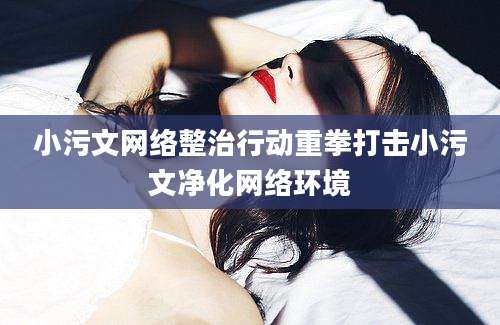 小污文网络整治行动重拳打击小污文净化网络环境