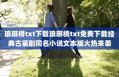 琅琊榜txt下载琅琊榜txt免费下载经典古装剧同名小说文本版火热来袭