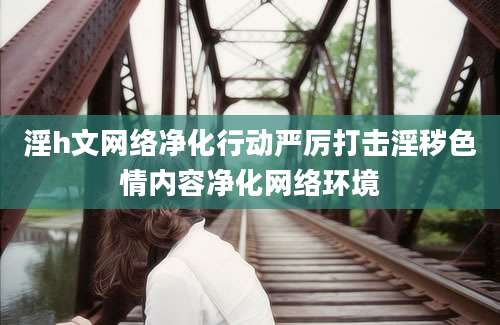 淫h文网络净化行动严厉打击淫秽色情内容净化网络环境