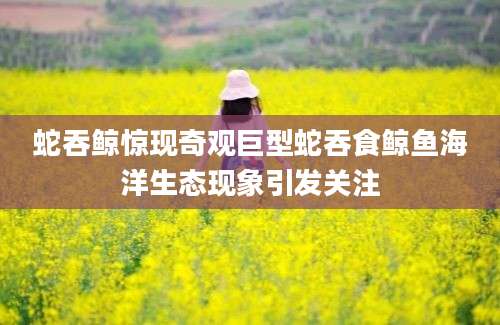 蛇吞鲸惊现奇观巨型蛇吞食鲸鱼海洋生态现象引发关注
