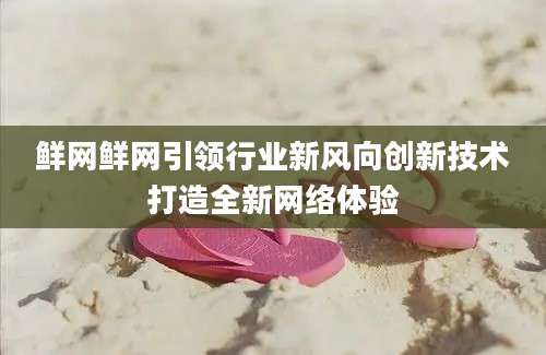 鲜网鲜网引领行业新风向创新技术打造全新网络体验