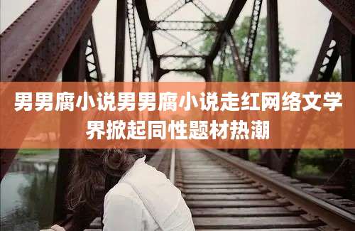 男男腐小说男男腐小说走红网络文学界掀起同性题材热潮