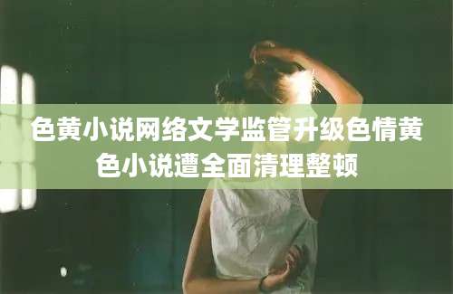 色黄小说网络文学监管升级色情黄色小说遭全面清理整顿