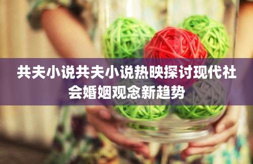 共夫小说共夫小说热映探讨现代社会婚姻观念新趋势
