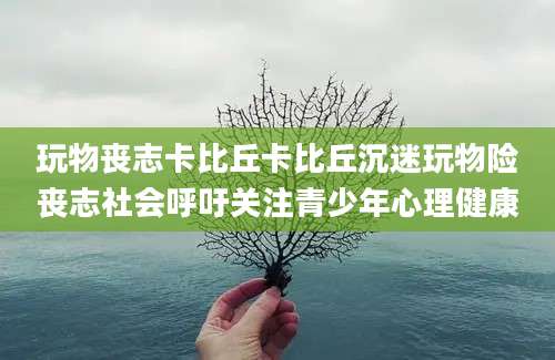 玩物丧志卡比丘卡比丘沉迷玩物险丧志社会呼吁关注青少年心理健康