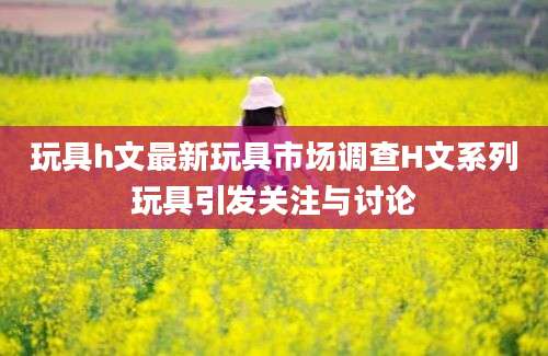 玩具h文最新玩具市场调查H文系列玩具引发关注与讨论