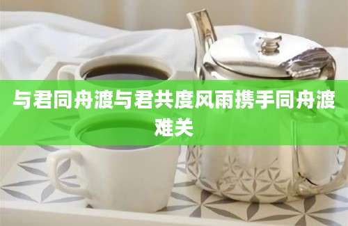与君同舟渡与君共度风雨携手同舟渡难关