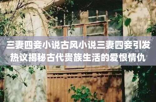 三妻四妾小说古风小说三妻四妾引发热议揭秘古代贵族生活的爱恨情仇