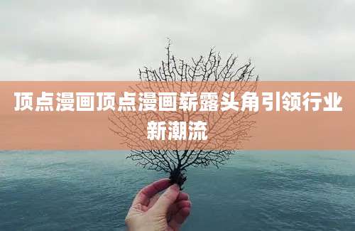 顶点漫画顶点漫画崭露头角引领行业新潮流