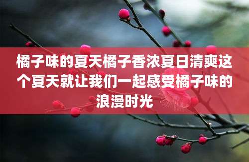 橘子味的夏天橘子香浓夏日清爽这个夏天就让我们一起感受橘子味的浪漫时光