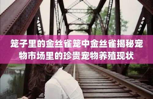 笼子里的金丝雀笼中金丝雀揭秘宠物市场里的珍贵宠物养殖现状