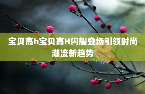 宝贝高h宝贝高H闪耀登场引领时尚潮流新趋势