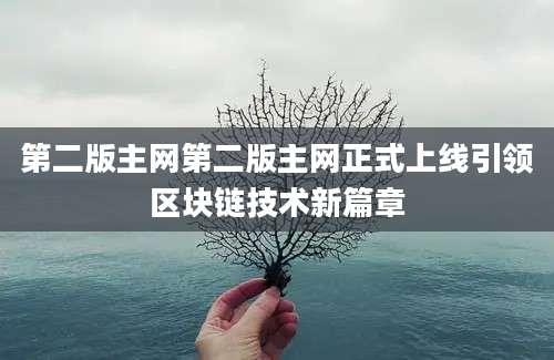 第二版主网第二版主网正式上线引领区块链技术新篇章