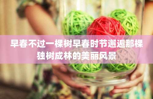 早春不过一棵树早春时节邂逅那棵独树成林的美丽风景