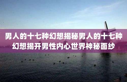 男人的十七种幻想揭秘男人的十七种幻想揭开男性内心世界神秘面纱