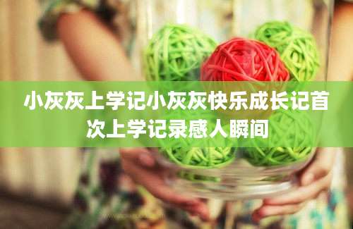 小灰灰上学记小灰灰快乐成长记首次上学记录感人瞬间