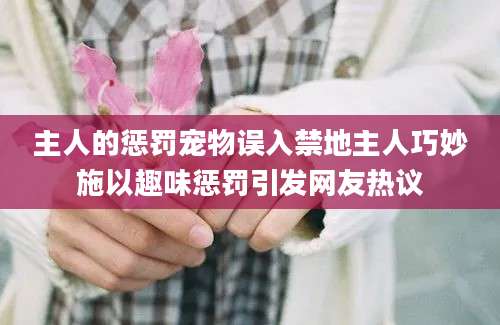 主人的惩罚宠物误入禁地主人巧妙施以趣味惩罚引发网友热议