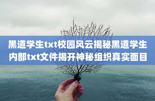 黑道学生txt校园风云揭秘黑道学生内部txt文件揭开神秘组织真实面目