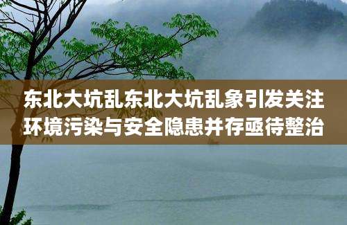东北大坑乱东北大坑乱象引发关注环境污染与安全隐患并存亟待整治