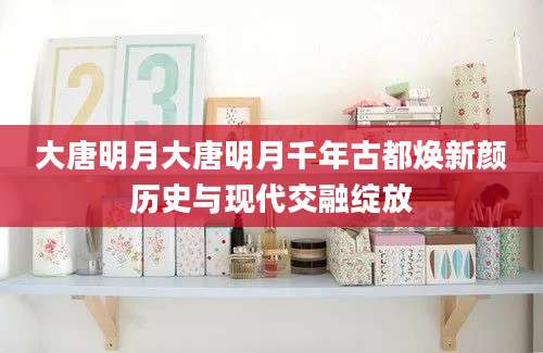 大唐明月大唐明月千年古都焕新颜历史与现代交融绽放