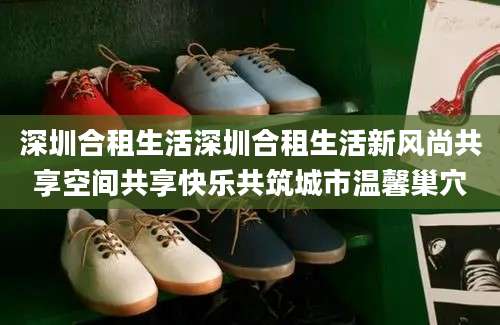 深圳合租生活深圳合租生活新风尚共享空间共享快乐共筑城市温馨巢穴