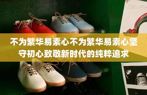 不为繁华易素心不为繁华易素心坚守初心致敬新时代的纯粹追求