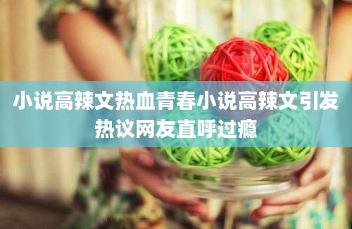 小说高辣文热血青春小说高辣文引发热议网友直呼过瘾