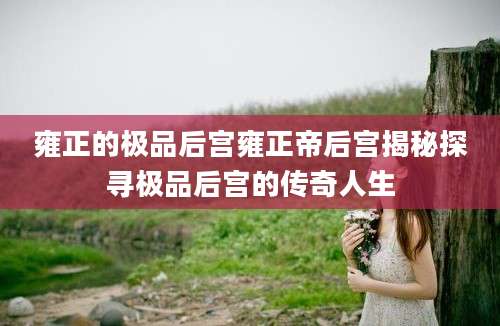 雍正的极品后宫雍正帝后宫揭秘探寻极品后宫的传奇人生