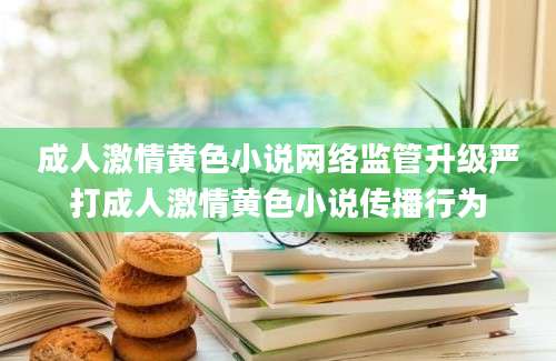 成人激情黄色小说网络监管升级严打成人激情黄色小说传播行为