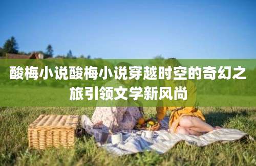 酸梅小说酸梅小说穿越时空的奇幻之旅引领文学新风尚