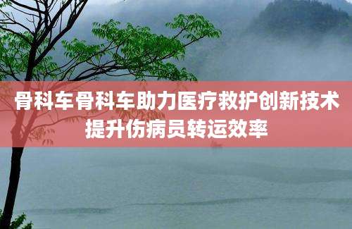 骨科车骨科车助力医疗救护创新技术提升伤病员转运效率