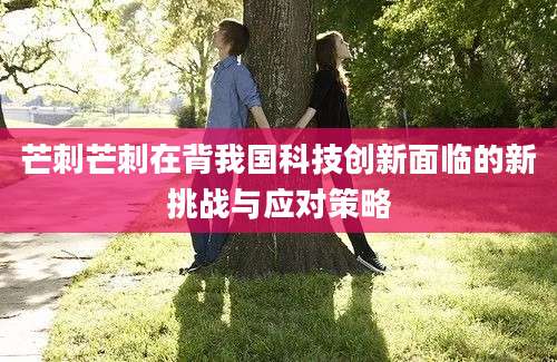 芒刺芒刺在背我国科技创新面临的新挑战与应对策略