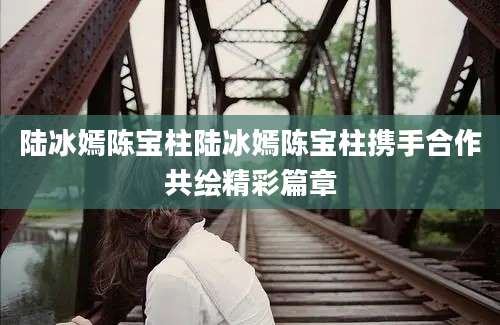 陆冰嫣陈宝柱陆冰嫣陈宝柱携手合作共绘精彩篇章