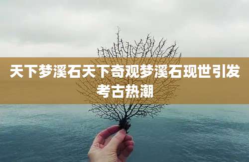 天下梦溪石天下奇观梦溪石现世引发考古热潮
