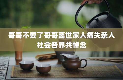 哥哥不要了哥哥离世家人痛失亲人社会各界共悼念