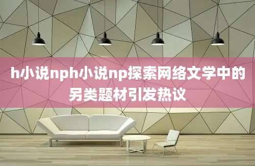 h小说nph小说np探索网络文学中的另类题材引发热议