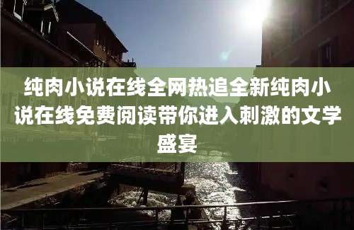 纯肉小说在线全网热追全新纯肉小说在线免费阅读带你进入刺激的文学盛宴
