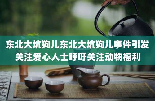 东北大坑狗儿东北大坑狗儿事件引发关注爱心人士呼吁关注动物福利