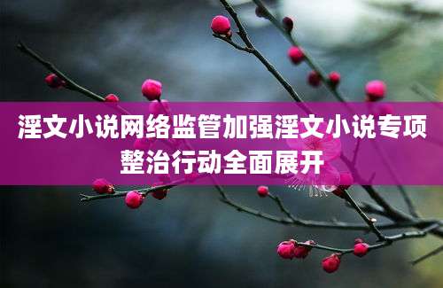 淫文小说网络监管加强淫文小说专项整治行动全面展开