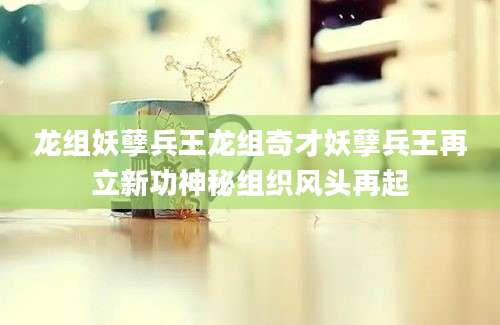 龙组妖孽兵王龙组奇才妖孽兵王再立新功神秘组织风头再起