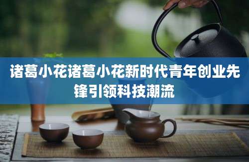 诸葛小花诸葛小花新时代青年创业先锋引领科技潮流
