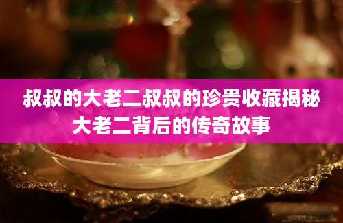 叔叔的大老二叔叔的珍贵收藏揭秘大老二背后的传奇故事