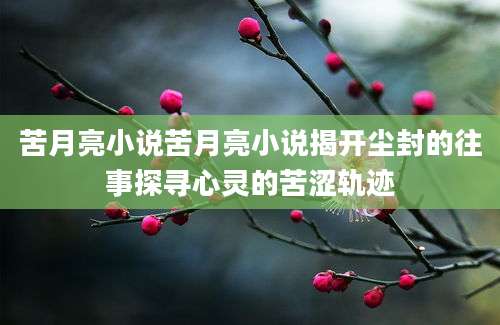 苦月亮小说苦月亮小说揭开尘封的往事探寻心灵的苦涩轨迹