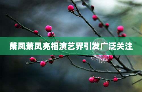 萧凤萧凤亮相演艺界引发广泛关注