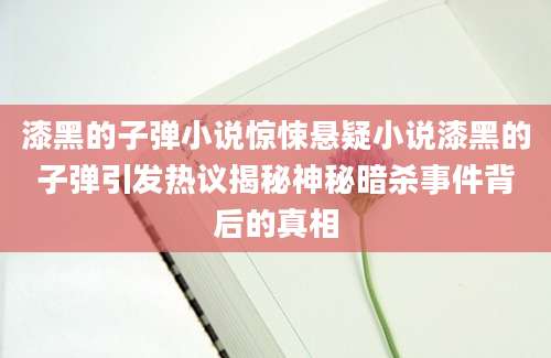 漆黑的子弹小说惊悚悬疑小说漆黑的子弹引发热议揭秘神秘暗杀事件背后的真相