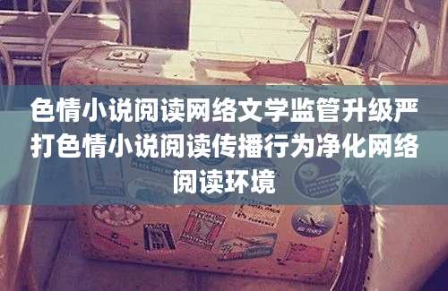 色情小说阅读网络文学监管升级严打色情小说阅读传播行为净化网络阅读环境