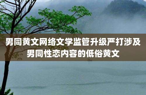 男同黄文网络文学监管升级严打涉及男同性恋内容的低俗黄文