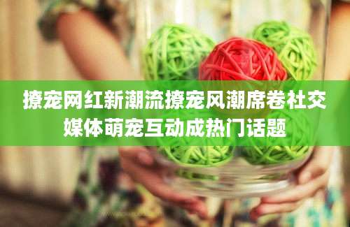 撩宠网红新潮流撩宠风潮席卷社交媒体萌宠互动成热门话题